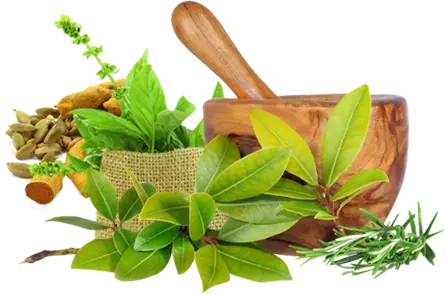 KLES Cancer Hospital Belagavi